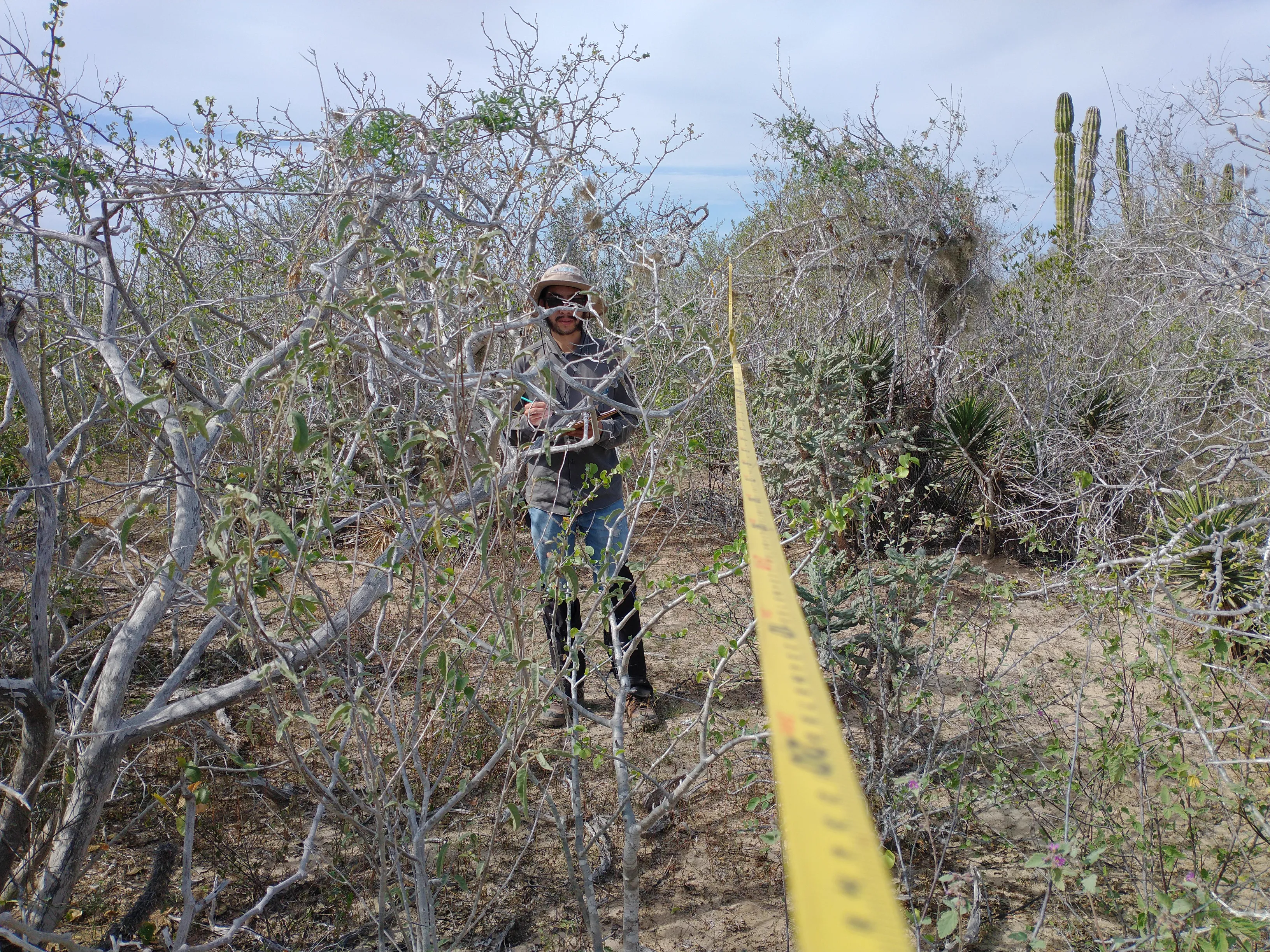Mediciones en sitio de proyecto